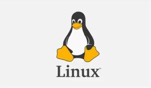 Linux基础知识之--用户切换,Unix与Linux,GNU,Linux与Windows比较,终端及Shell的概念,Linux页面说明-大风科技频道