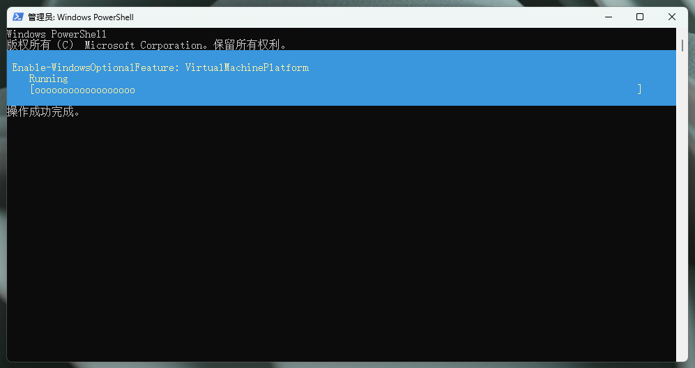 图片[10]-WSA 定制安装，找回你需要的 Google 服务和 Magisk-大风科技频道