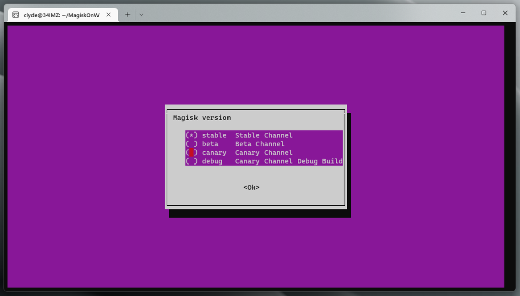 图片[7]-WSA 定制安装，找回你需要的 Google 服务和 Magisk-大风科技频道